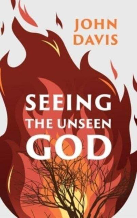 Seeing the Unseen God av John Davis