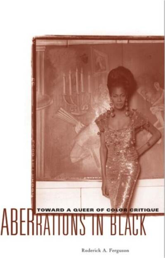 Aberrations In Black av Roderick A. Ferguson