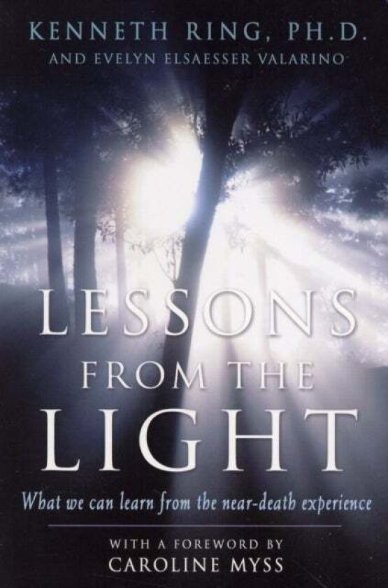 Lesson from the Light av Kenneth (Kenneth Ring) Ring