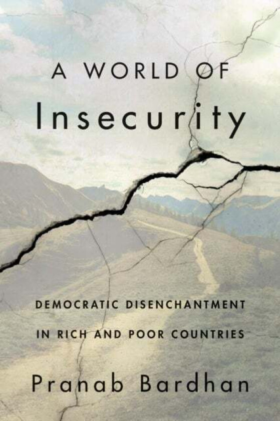 A World of Insecurity av Pranab Bardhan