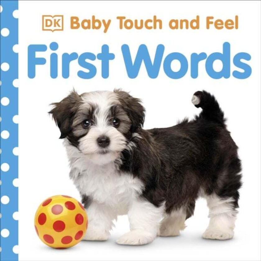 Baby Touch and Feel First Words av DK