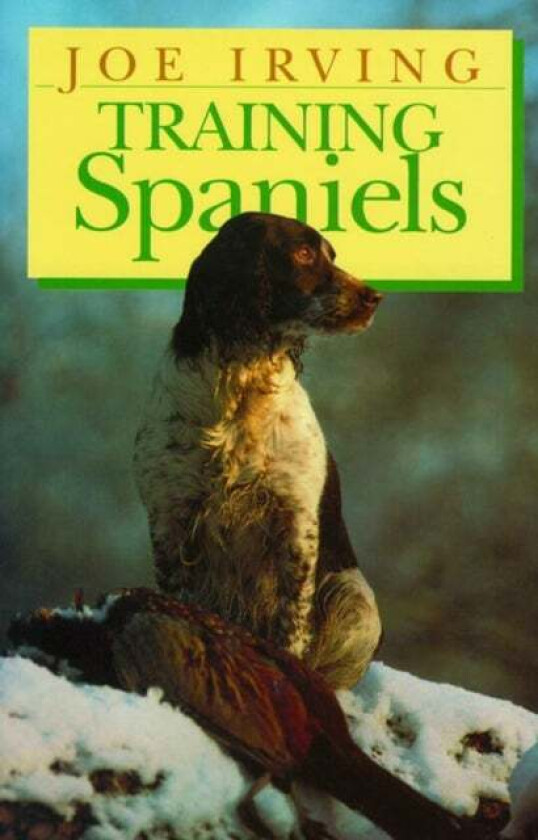 Training Spaniels av Joe Irving