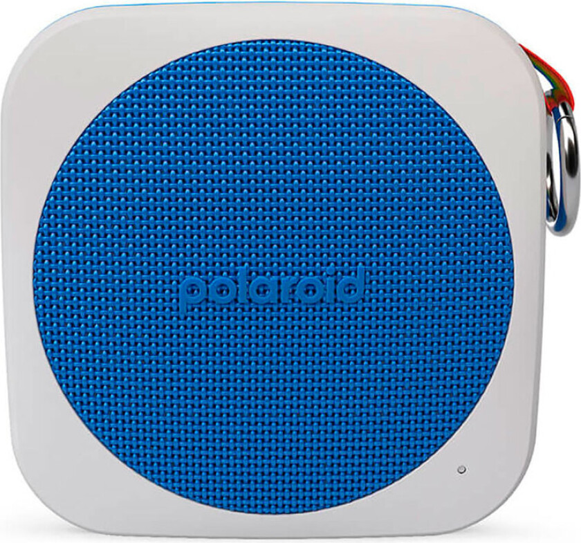 P1 - speaker - for portable use - wireless