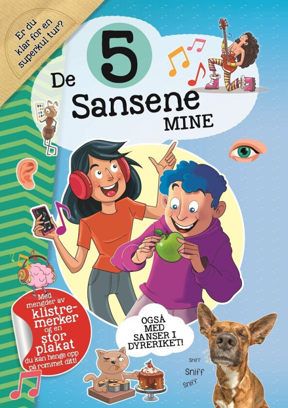 De 5 sansene mine