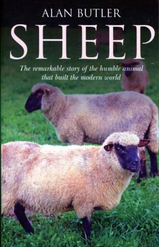 Sheep ¿ The remarkable story of the humble animal that built the modern world. av Alan Butler