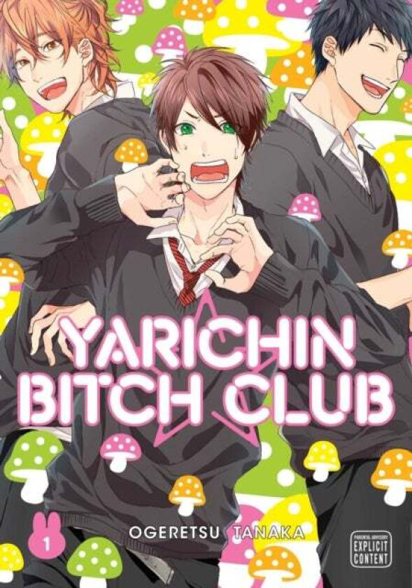 Yarichin Bitch Club, Vol. 1 av Ogeretsu Tanaka