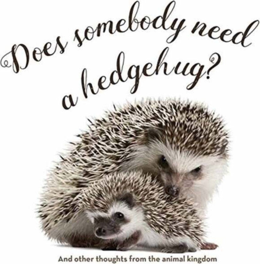 Does Somebody Need a Hedgehug? av Smith Gibbs