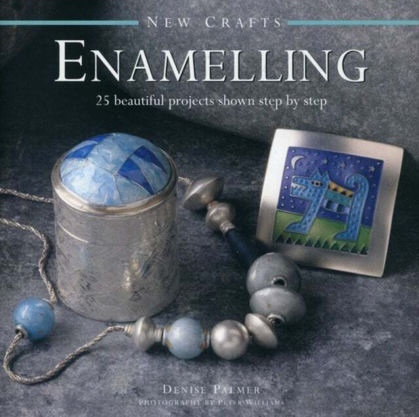 New Crafts: Enamelling av Palmer Denise