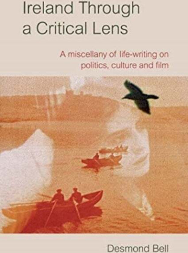 Ireland Through a Critical Lense av Desmond Bell