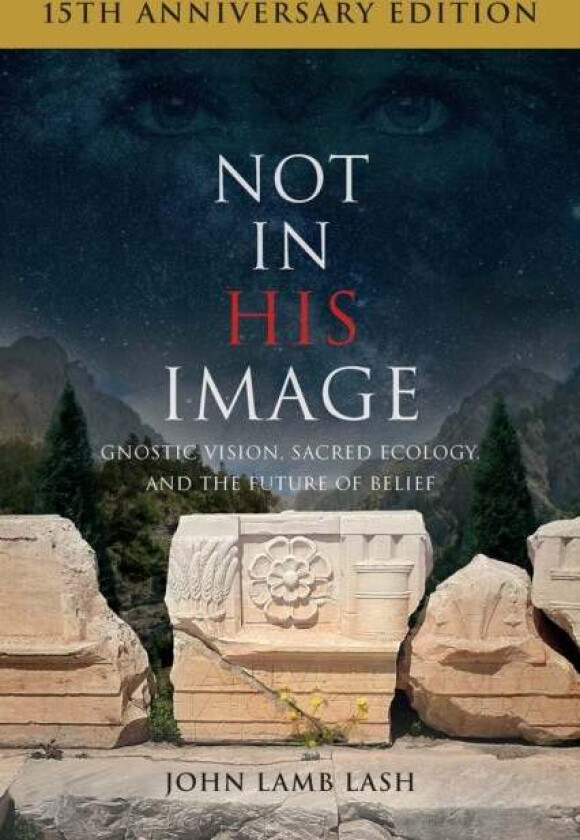 Not in His Image (15th Anniversary Edition) av John Lamb Lash