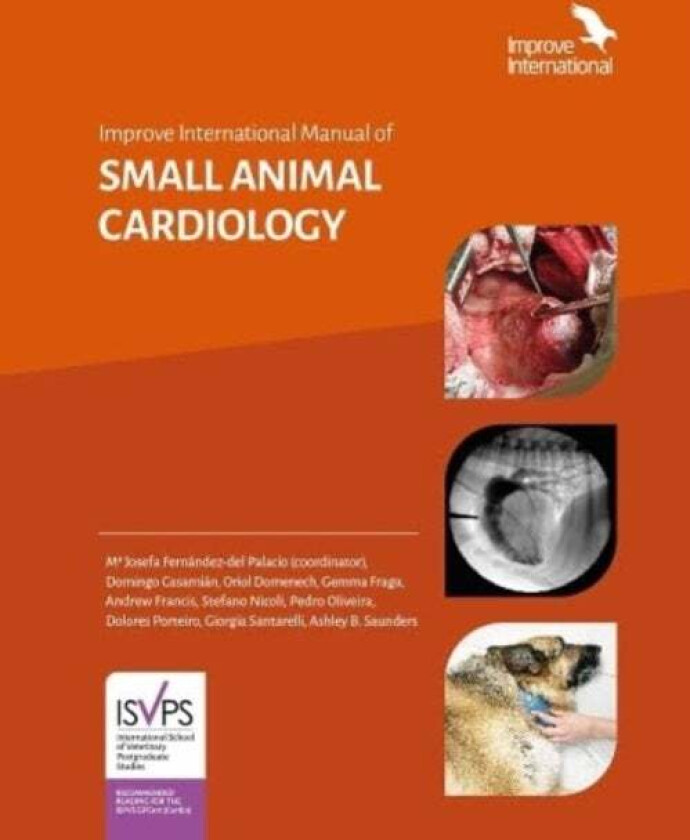 Improve International Manual of Small Animal Cardiology av Josefa Fernandez-del Palacio, Domingo Casamian Sorrosal, Oriol Domenech, Gemma Fraga Veloso
