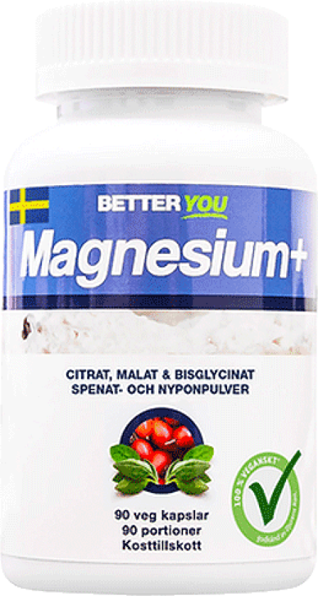 Magnesium Plus 90 stk