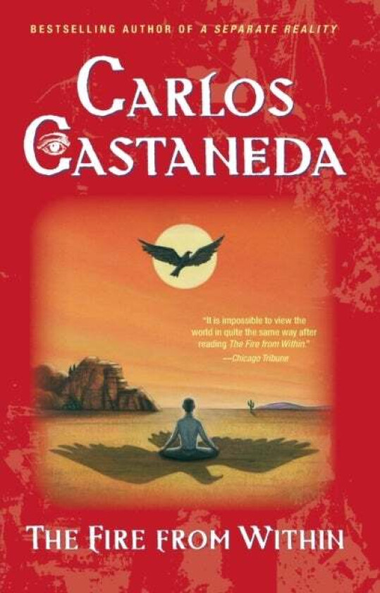 The Fire from within av Carlos Castaneda