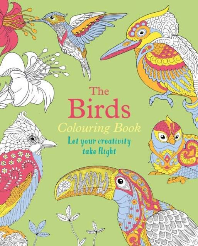 The Birds Colouring Book av Tansy Willow