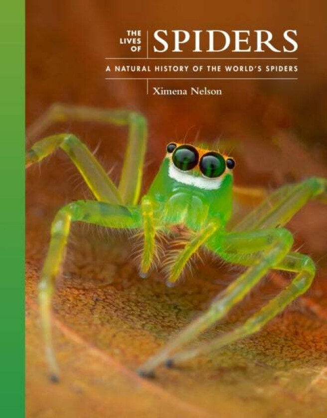 The Lives Of Spiders Av Dr. Ximena (Post-Doctoral Fellow) Nelson