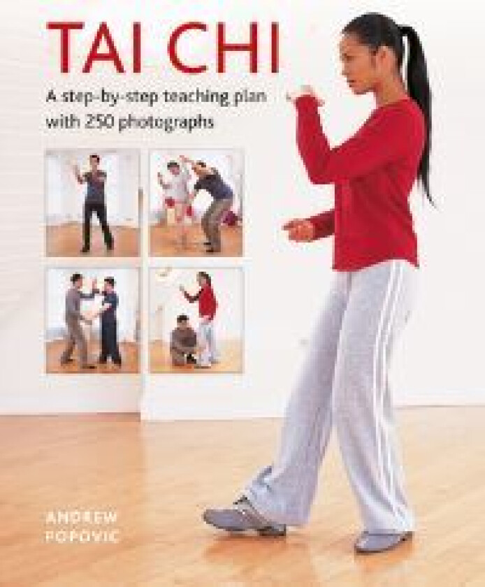 Tai Chi av Andrew Popovic