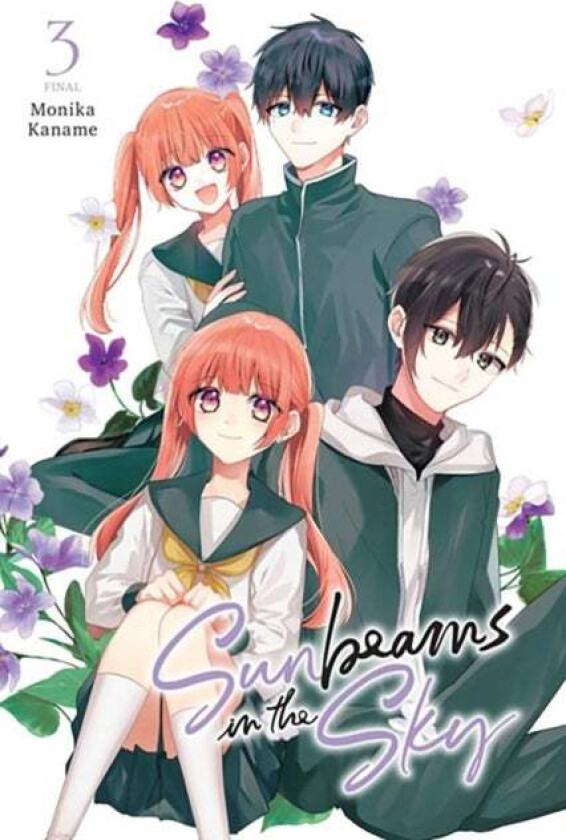 Sunbeams in the Sky, Vol. 3 av Monika Kaname