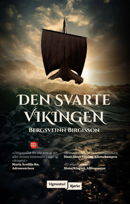 Den svarte vikingen av Bergsveinn Birgisson