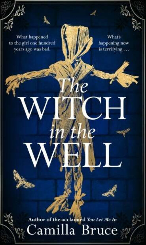 The Witch in the Well av Camilla Bruce