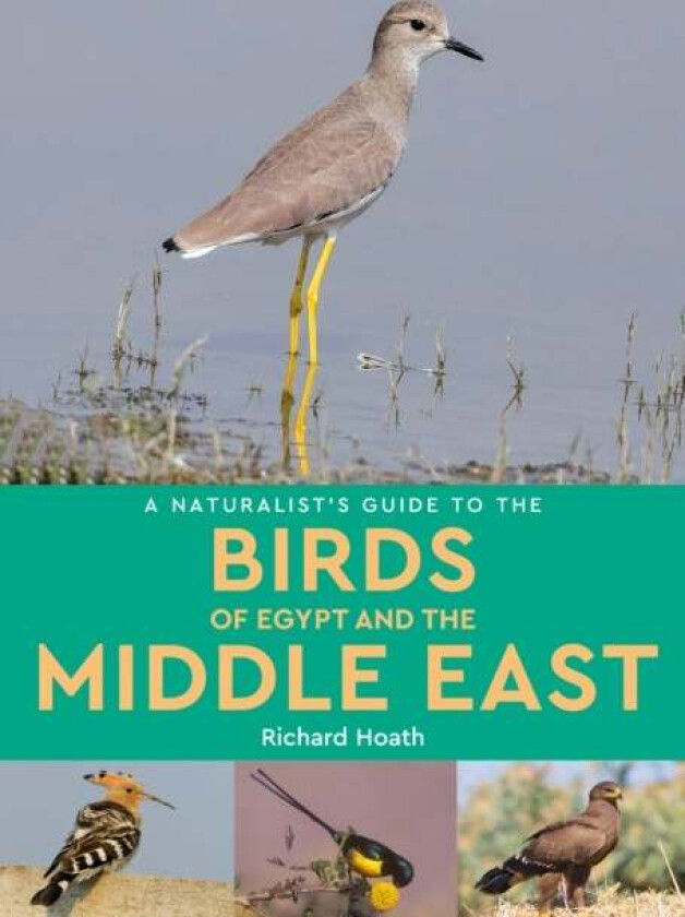 A Naturalist's Guide to the Birds of Egypt and the Middle East av Richard Hoath