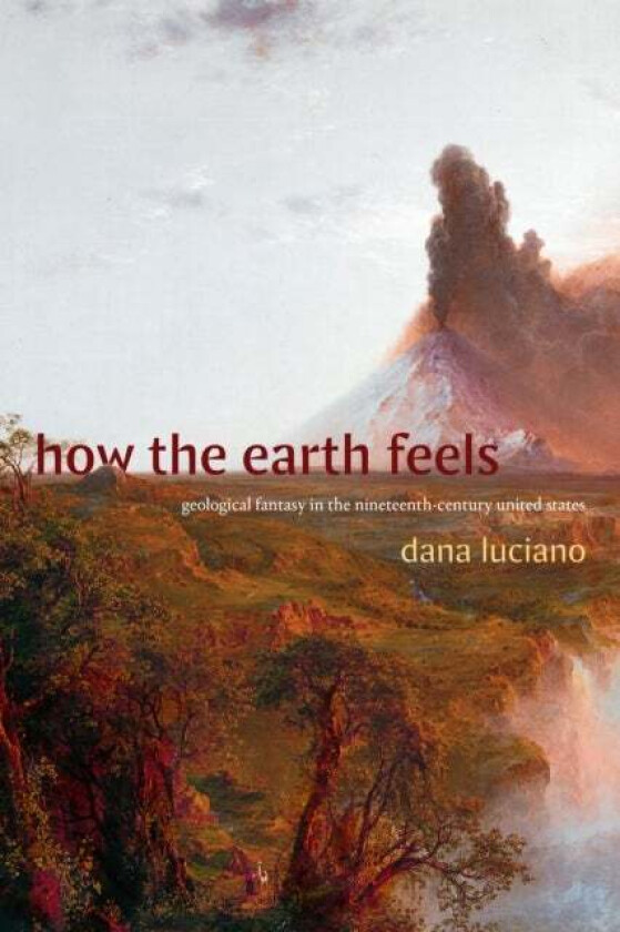 How the Earth Feels av Dana Luciano