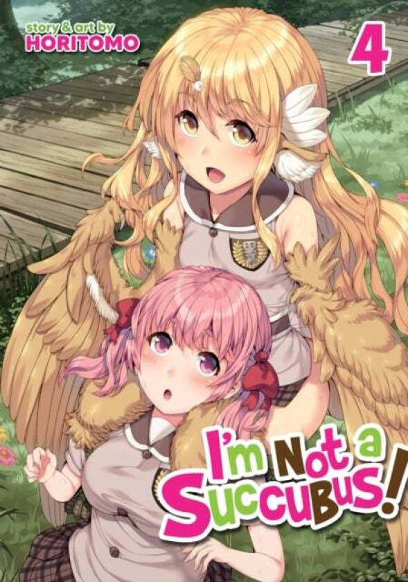 I'm Not a Succubus! Vol. 4 av Horitomo