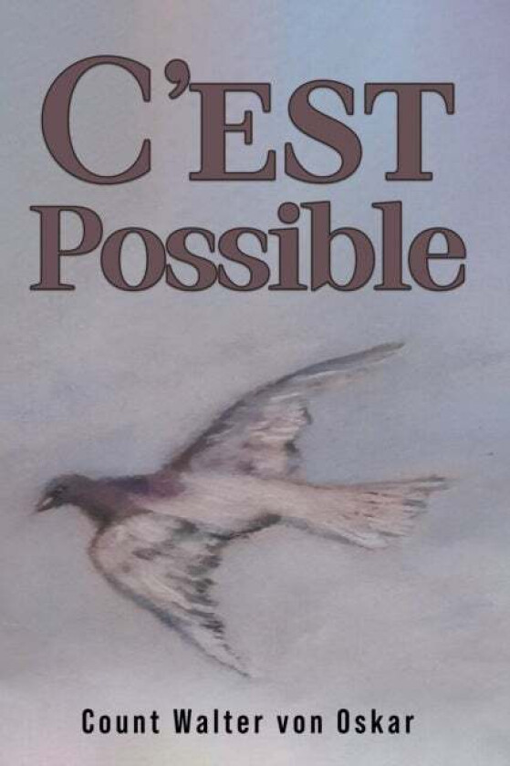 C'est Possible av Count Walter von Oskar