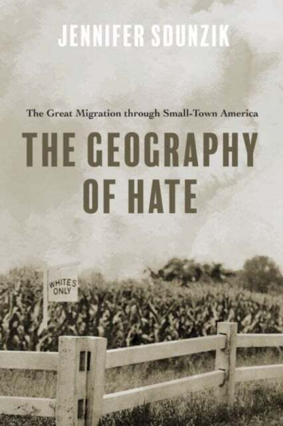 The Geography of Hate av Jennifer Sdunzik