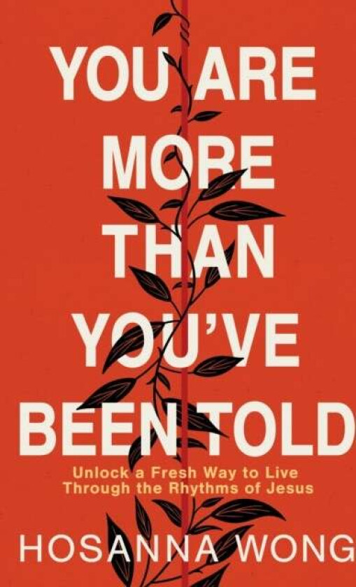 You Are More Than You've Been Told av Hosanna Wong