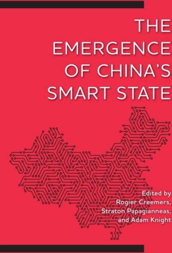 The Emergence of China's Smart State