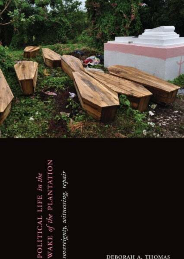 Political Life in the Wake of the Plantation av Deborah A. Thomas