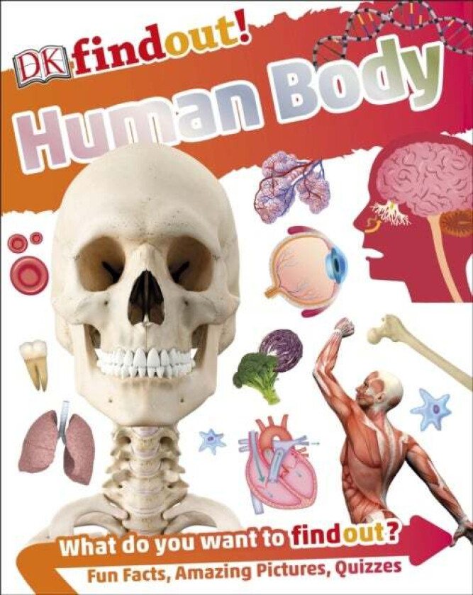 DKfindout! Human Body av DK