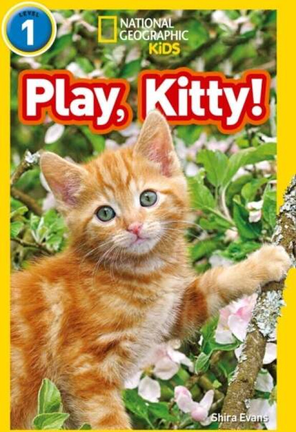 Play, Kitty! av Shira Evans, National Geographic Kids