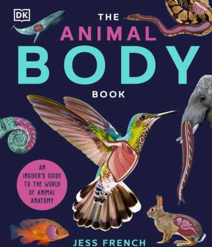 The Animal Body Book av Jess French