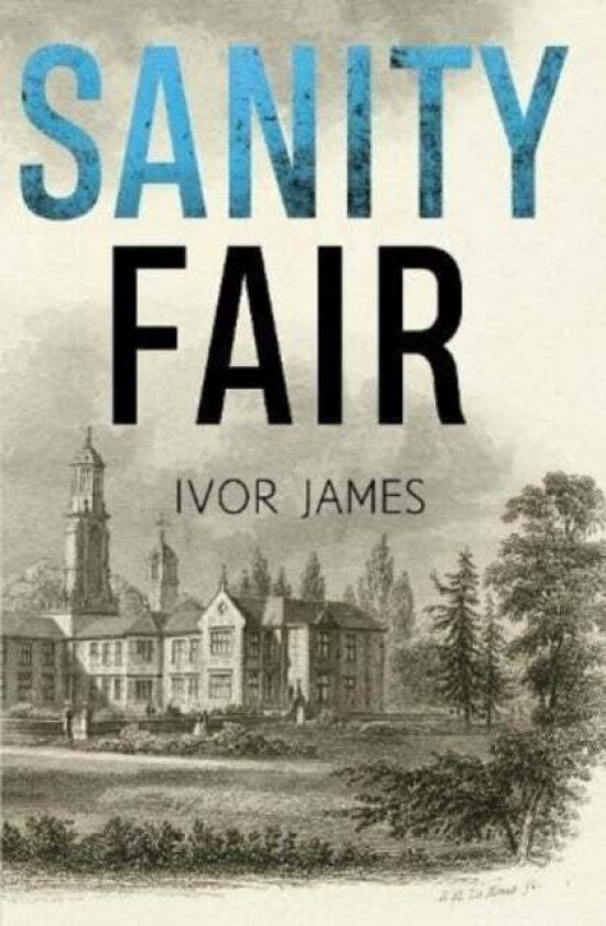 Sanity Fair av Ivor James