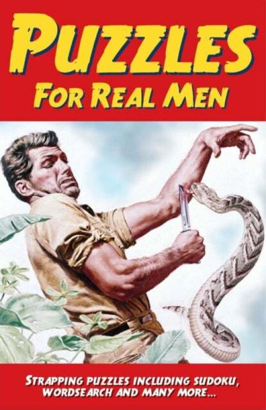 Puzzles for Real Men av Arcturus Publishing