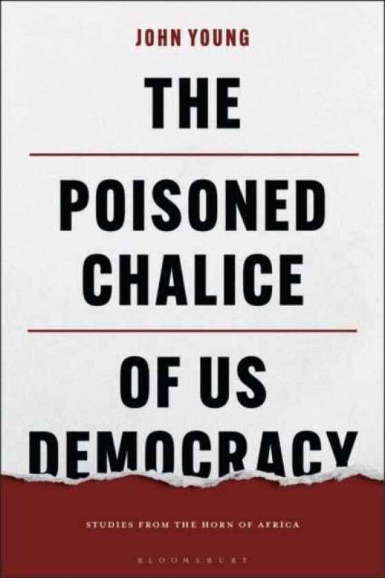 The Poisoned Chalice of US Democracy av John Young