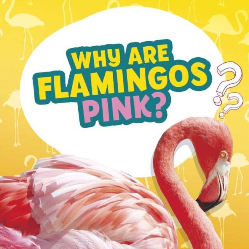 Why Are Flamingos Pink? av Nancy Dickmann