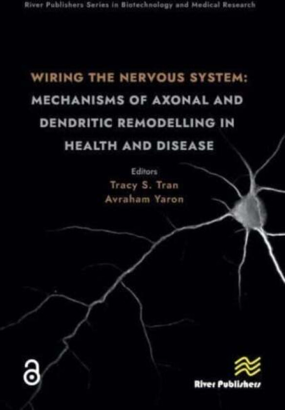 Wiring the Nervous System: Mechanisms of Axonal and Dendritic Remodelling in Health and Disease