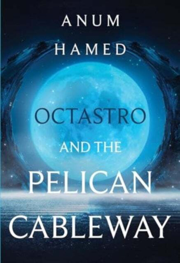 Octastro and the Pelican Cableway av Anum Hamed
