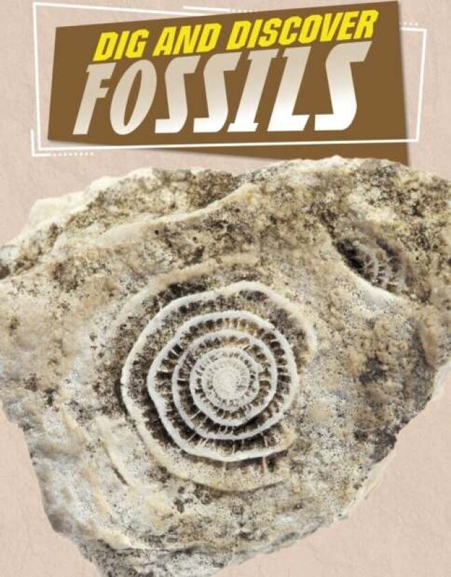 Dig and Discover Fossils av Anita Nahta Amin