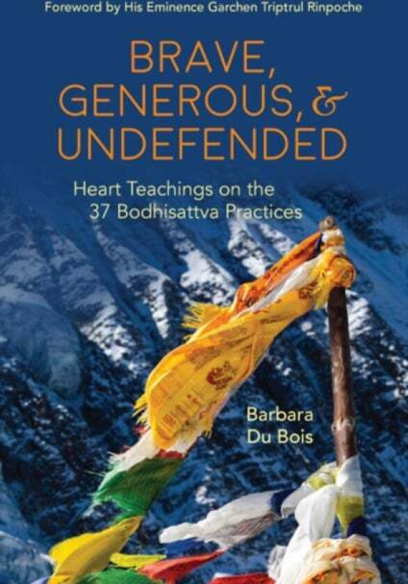 Brave, Generous, & Undefended av Barbara (Barbara Du Bois) Du Bois