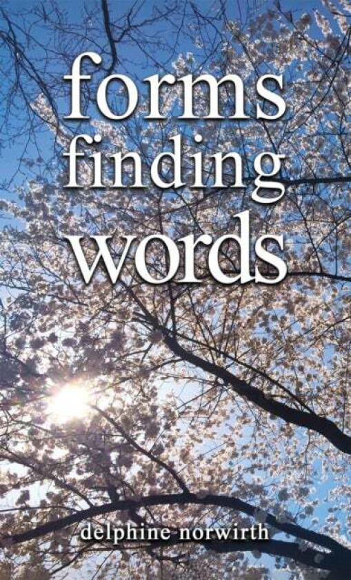 forms finding words av delphine norwirth
