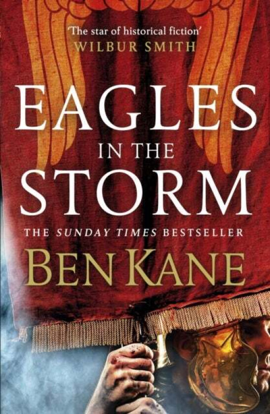 Eagles in the Storm av Ben Kane