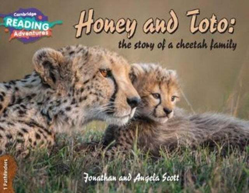 Cambridge Reading Adventures Honey and Toto: The Story of a Cheetah Family 1 Pathfinders av Jonathan and Angela Scott