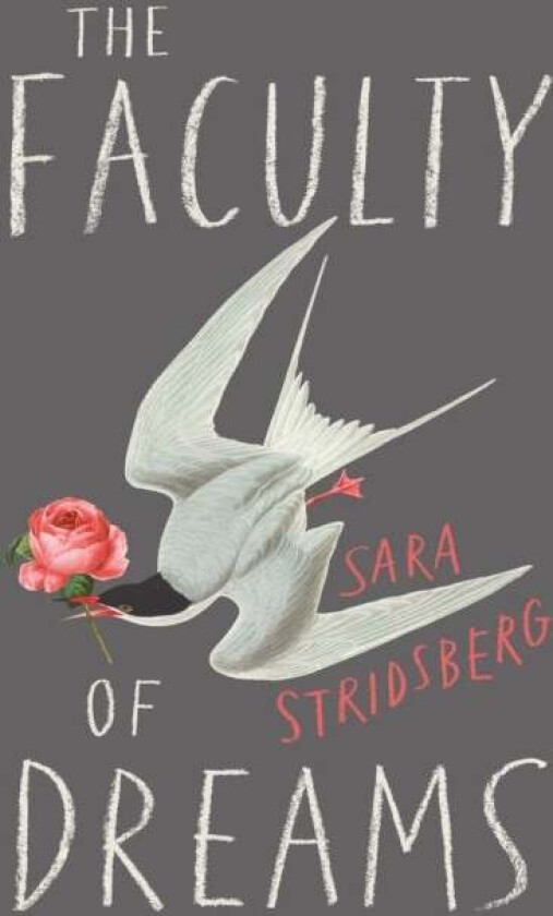 The Faculty of Dreams av Sara Stridsberg