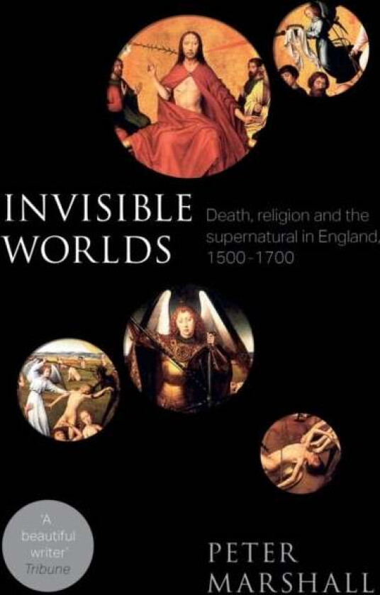 Invisible Worlds av Professor Peter Marshall