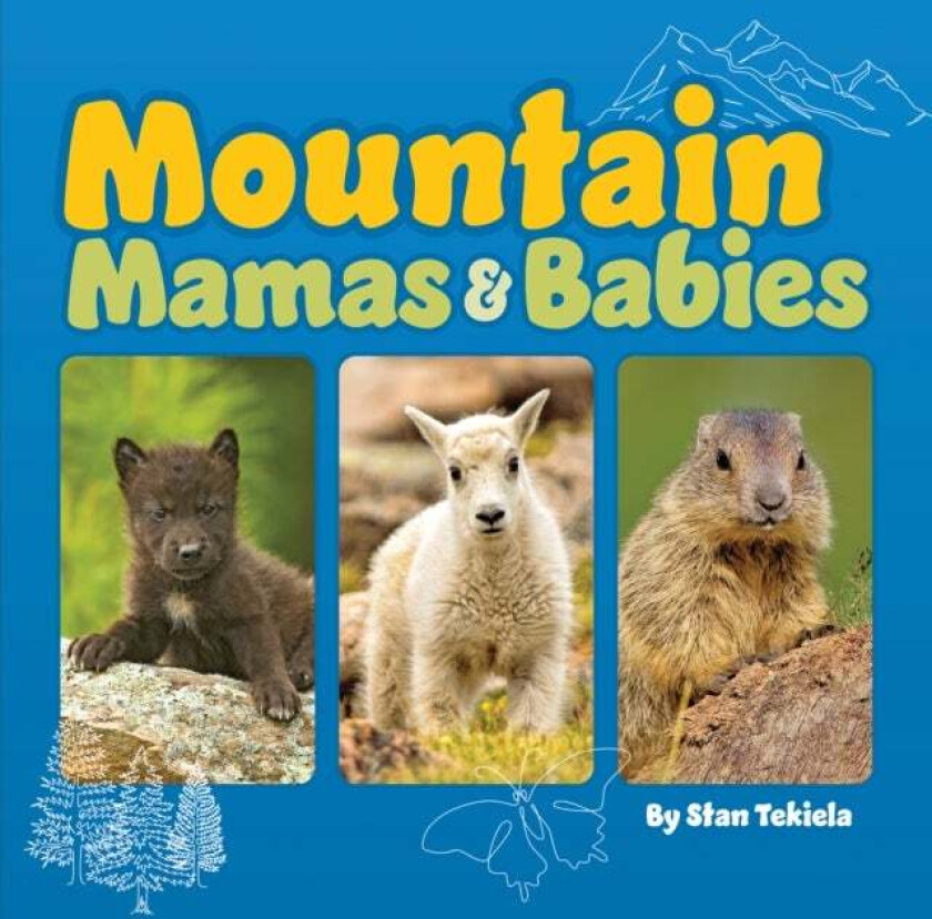 Mountain Mamas and Babies av Stan Tekiela