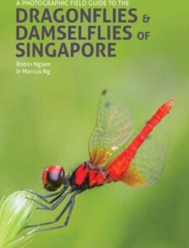 A Photographic Field Guide to the Dragonflies & Damselflies of Singapore av Robin Ngiam, Marcus Ng