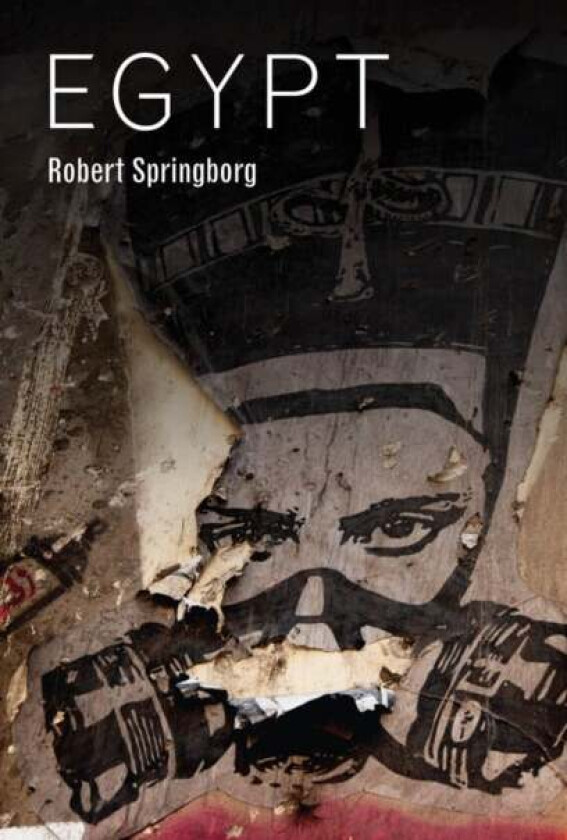 Egypt av Robert Springborg